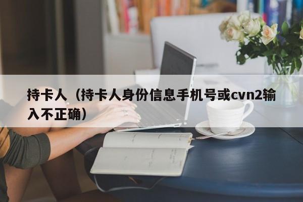 持卡人（持卡人身份信息手机号或cvn2输入不正确）