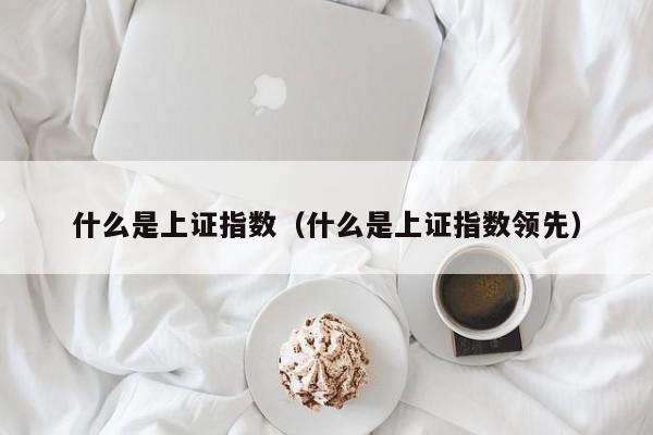 什么是上证指数（什么是上证指数领先）