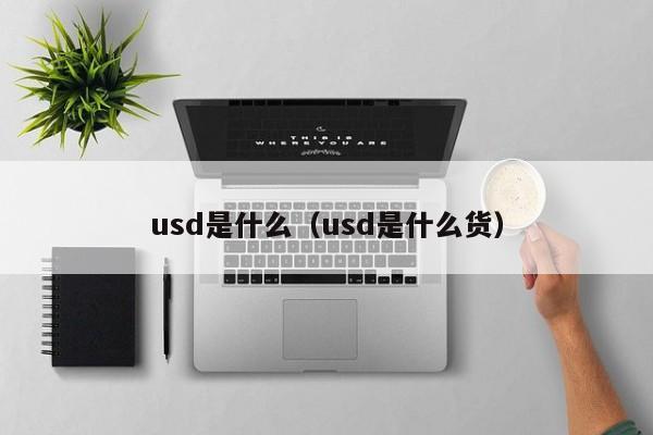 usd是什么（usd是什么货）