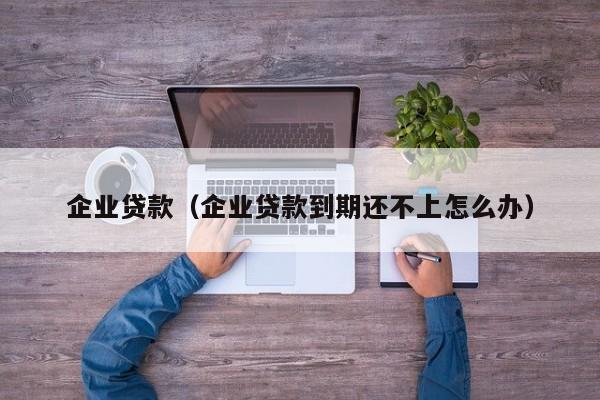 企业贷款（企业贷款到期还不上怎么办）