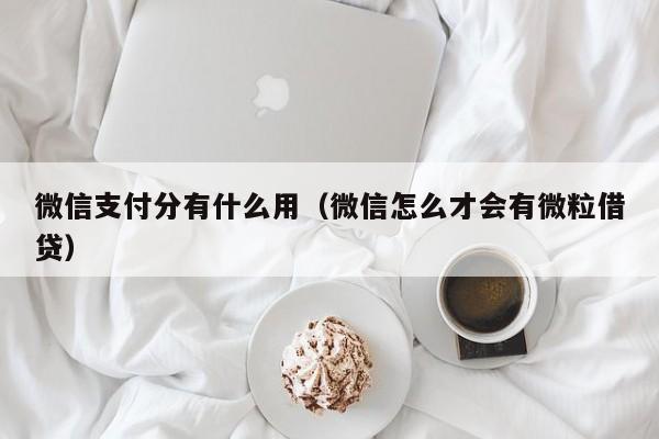 微信支付分有什么用（微信怎么才会有微粒借贷）