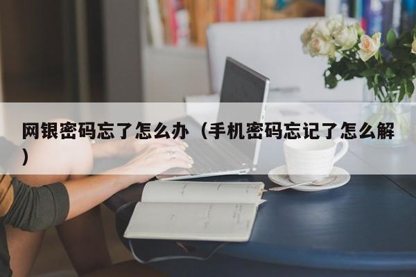 网银密码忘了怎么办（手机密码忘记了怎么解）