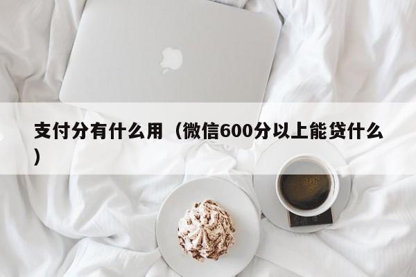 支付分有什么用（微信600分以上能贷什么）