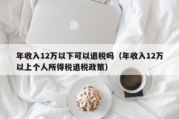 年收入12万以下可以退税吗（年收入12万以上个人所得税退税政策）