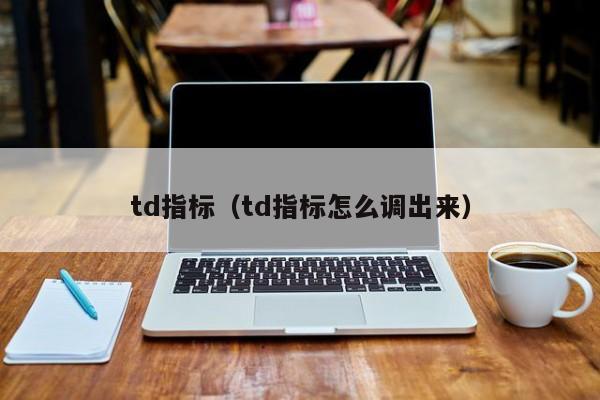 td指标（td指标怎么调出来）