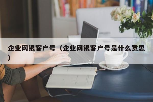 企业网银客户号（企业网银客户号是什么意思）