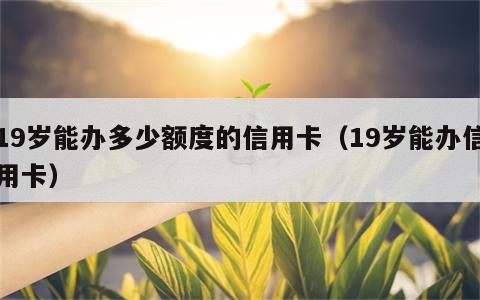 19岁能办多少额度的信用卡（19岁能办信用卡）