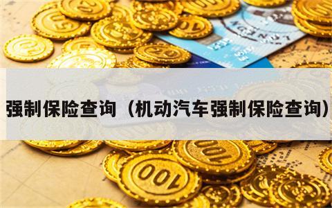 强制保险查询（机动汽车强制保险查询）