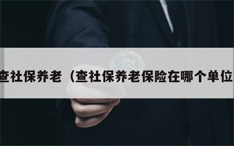 查社保养老（查社保养老保险在哪个单位）