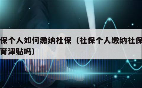 社保个人如何缴纳社保（社保个人缴纳社保有生育津贴吗）