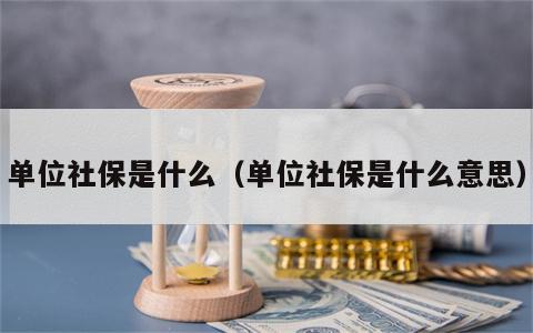 单位社保是什么（单位社保是什么意思）