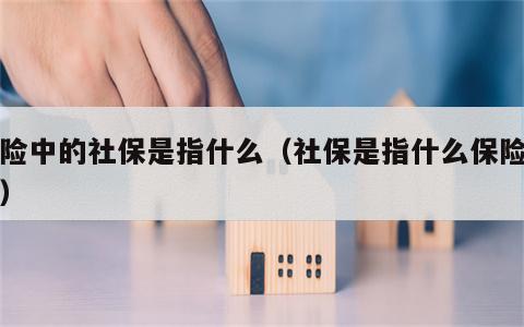 保险中的社保是指什么（社保是指什么保险公司）