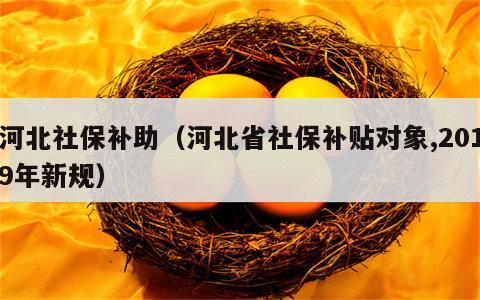 河北社保补助（河北省社保补贴对象,2019年新规）