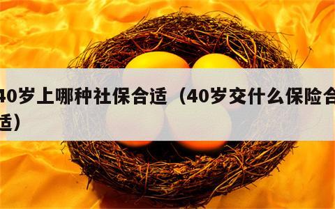 40岁上哪种社保合适（40岁交什么保险合适）