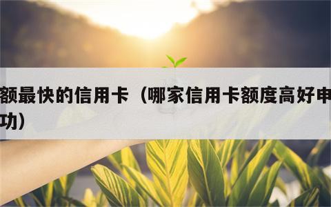 提额最快的信用卡（哪家信用卡额度高好申请成功）