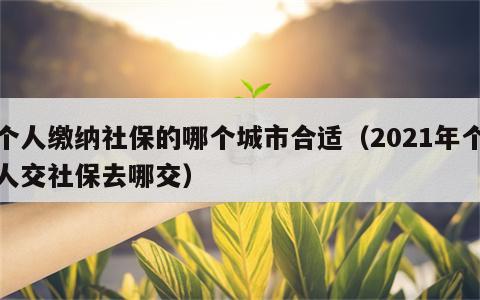 个人缴纳社保的哪个城市合适（2021年个人交社保去哪交）