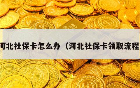 河北社保卡怎么办（河北社保卡领取流程）