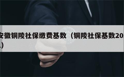 安徽铜陵社保缴费基数（铜陵社保基数2021）