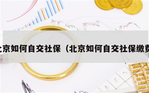 北京如何自交社保（北京如何自交社保缴费）