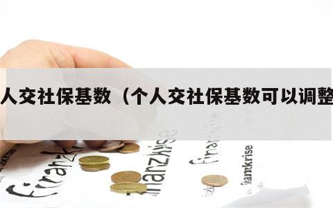 个人交社保基数（个人交社保基数可以调整吗）