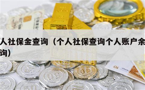 个人社保金查询（个人社保查询个人账户余额查询）