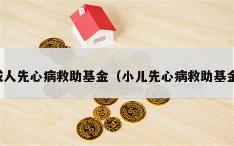 成人先心病救助基金（小儿先心病救助基金）