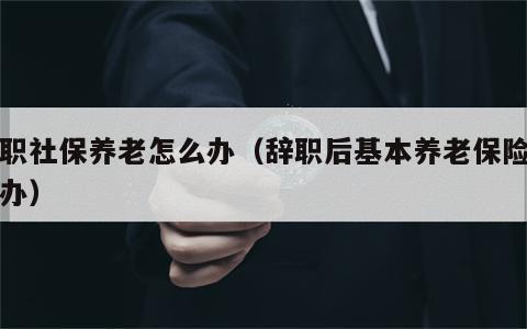 辞职社保养老怎么办（辞职后基本养老保险怎么办）