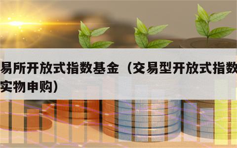 交易所开放式指数基金（交易型开放式指数基金实物申购）