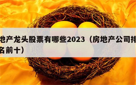 地产龙头股票有哪些2023（房地产公司排名前十）