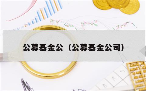 公募基金公（公募基金公司）