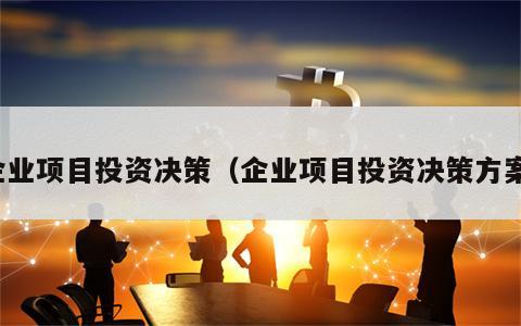 企业项目投资决策（企业项目投资决策方案）