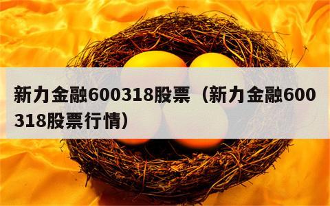 新力金融600318股票（新力金融600318股票行情）