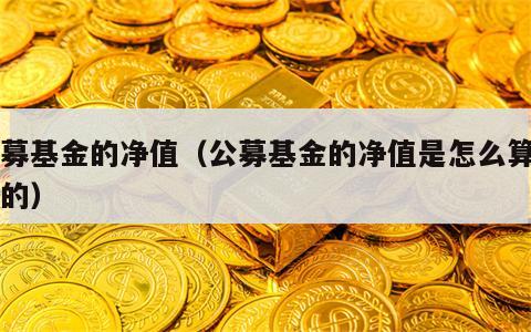 公募基金的净值（公募基金的净值是怎么算出来的）