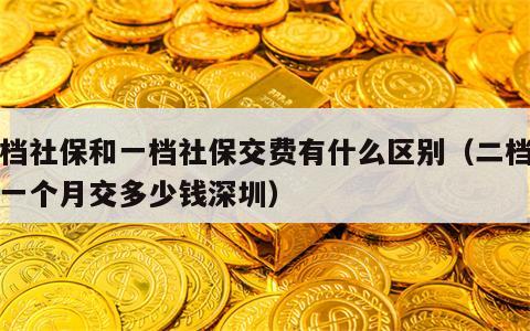 二档社保和一档社保交费有什么区别（二档社保一个月交多少钱深圳）