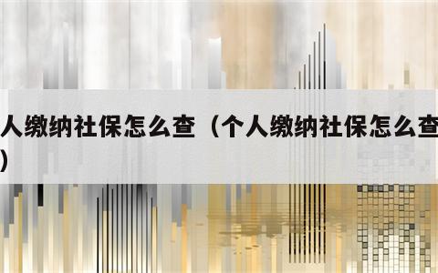 个人缴纳社保怎么查（个人缴纳社保怎么查不到）