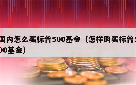 国内怎么买标普500基金（怎样购买标普500基金）