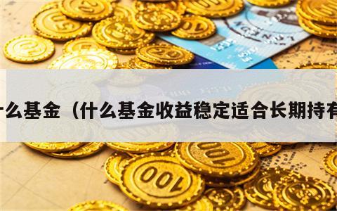 什么基金（什么基金收益稳定适合长期持有）