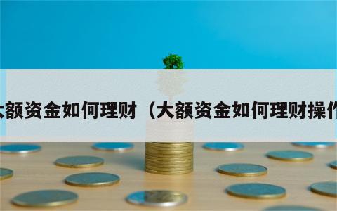 大额资金如何理财（大额资金如何理财操作）