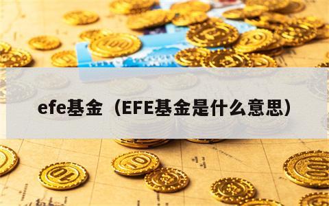 efe基金（EFE基金是什么意思）