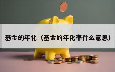 基金的年化（基金的年化率什么意思）