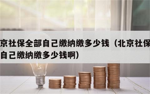 北京社保全部自己缴纳缴多少钱（北京社保全部自己缴纳缴多少钱啊）