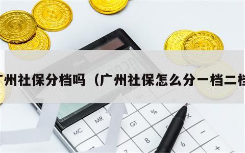 广州社保分档吗（广州社保怎么分一档二档）