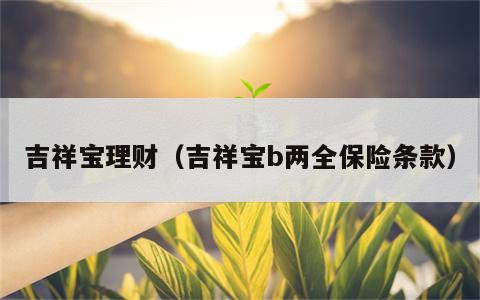 吉祥宝理财（吉祥宝b两全保险条款）