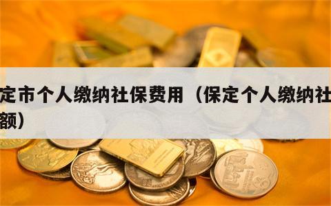 保定市个人缴纳社保费用（保定个人缴纳社保金额）