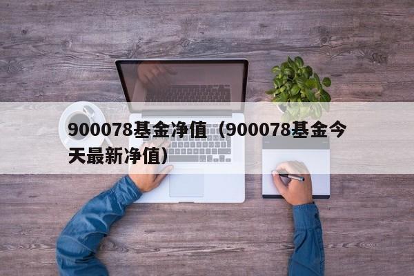 900078基金净值（900078基金今天最新净值）