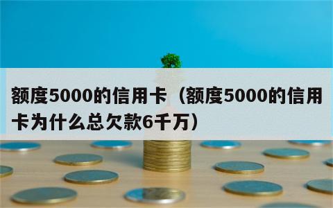 额度5000的信用卡（额度5000的信用卡为什么总欠款6千万）