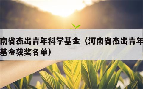 河南省杰出青年科学基金（河南省杰出青年科学基金获奖名单）