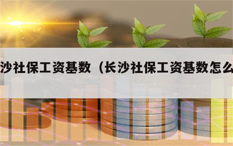 长沙社保工资基数（长沙社保工资基数怎么填）