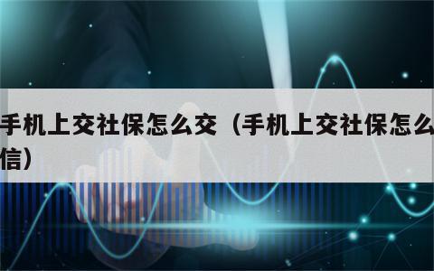 从手机上交社保怎么交（手机上交社保怎么交微信）