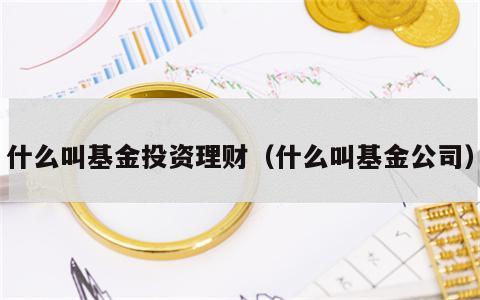 什么叫基金投资理财（什么叫基金公司）